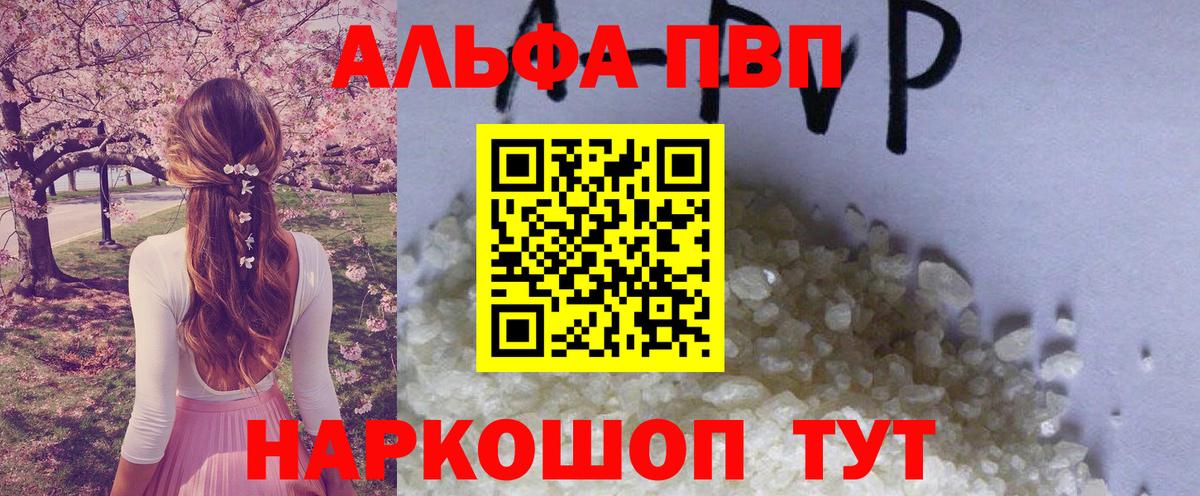 Alfa_PVP СК Ревда
