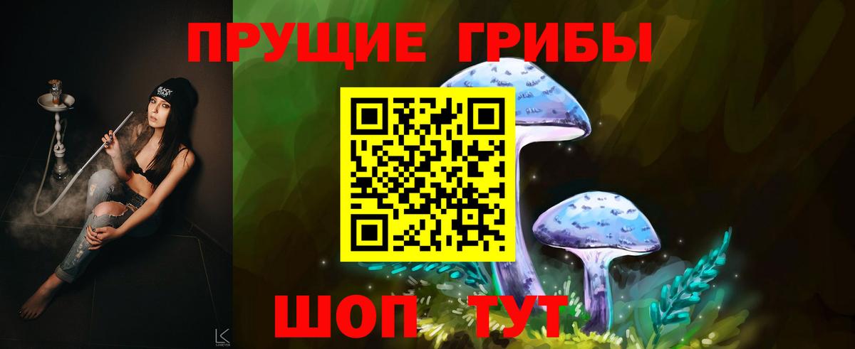Псилоцибиновые грибы мицелий Ревда